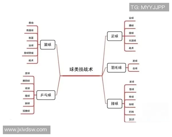 以中锋为核心打造篮球战术体系的创新与实践分析