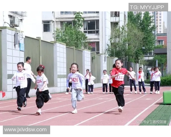 夏季奥林匹克运动会的历史演变、文化影响与未来发展趋势探析